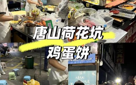 唐山还有谁没吃过无敌打卡的荷花坑鸡蛋饼